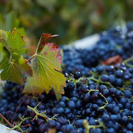 Summerwood Inn Paso Robles Luaran gambar